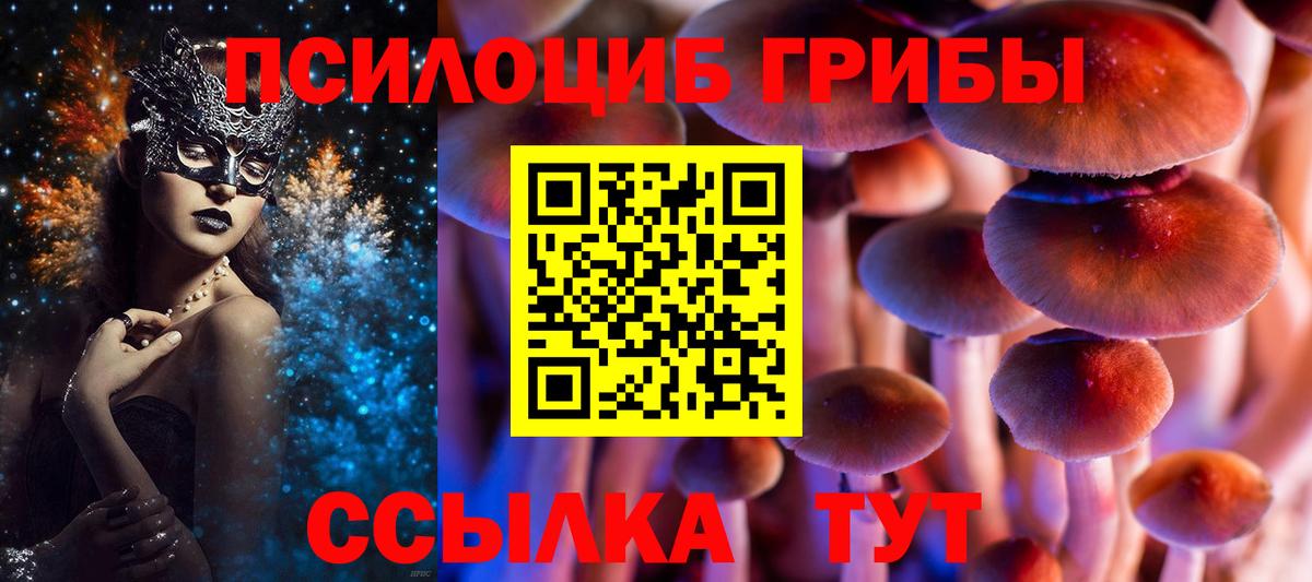 Псилоцибиновые грибы GOLDEN TEACHER Воронеж