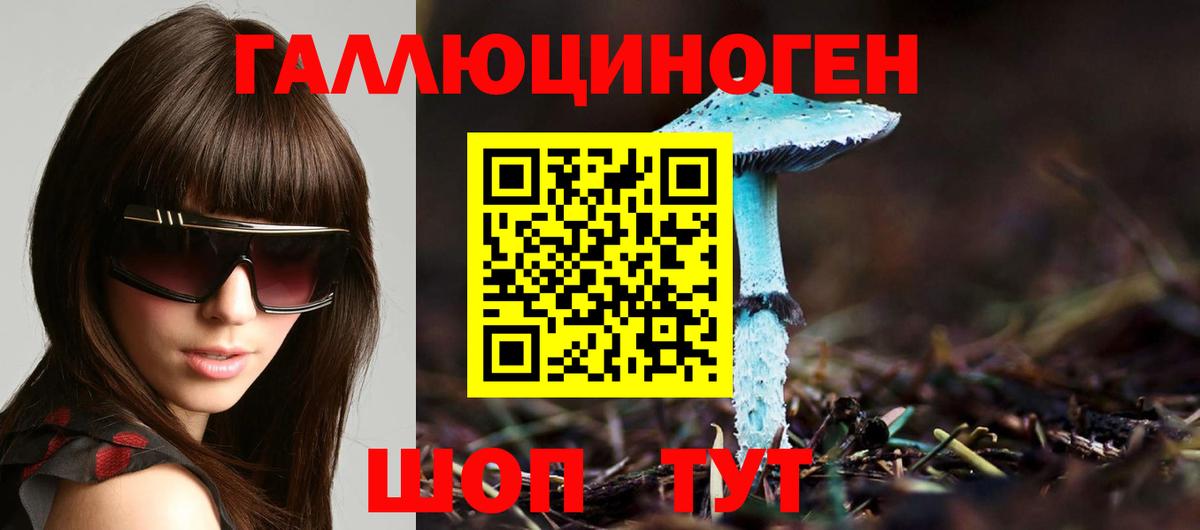 Галлюциногенные грибы прущие грибы  Вход с VPN  Воронеж 